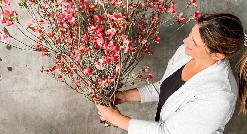 A Woman is Holding a Large Bouquet of Pink Flowers — Suncoast Flowers in Birtinya, QLD