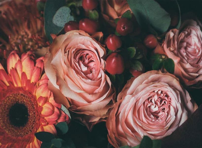 A Woman in a White Dress is Holding a Bouquet of White Flowers — Suncoast Flowers in Maroochydore, QLD