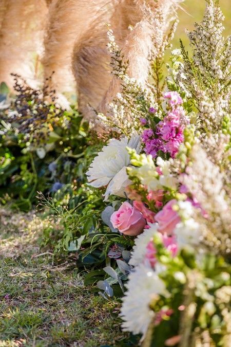 A Row of Flowers — Suncoast Flowers in Birtinya, QLD