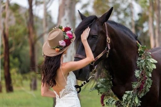 A Woman in a Wedding Dress and Hat is Petting a Black Horse — Suncoast Flowers in Birtinya, QLD