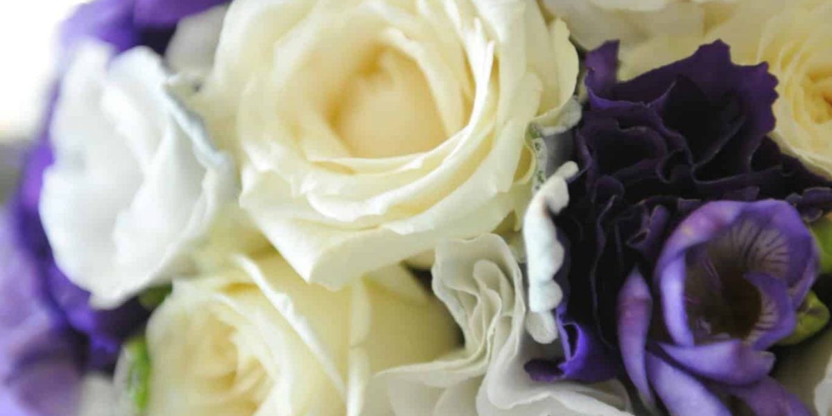 A Close Up of a Bouquet of White and Purple Flowers — Suncoast Flowers in Birtinya, QLD