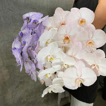 A Person is Holding a Bouquet of White and Purple Orchids — Suncoast Flowers in Birtinya, QLD