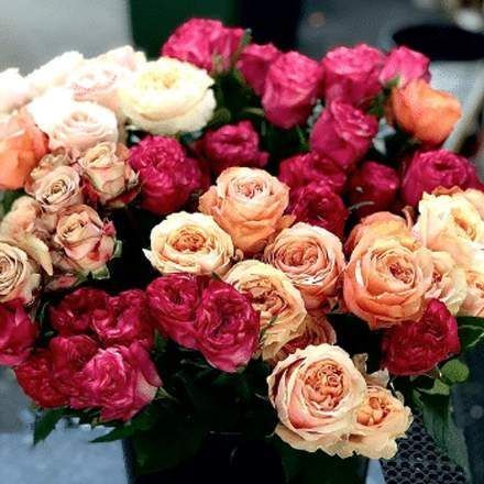 A Bunch of Different Colored Roses Are Sitting on a Table — Suncoast Flowers in Birtinya, QLD