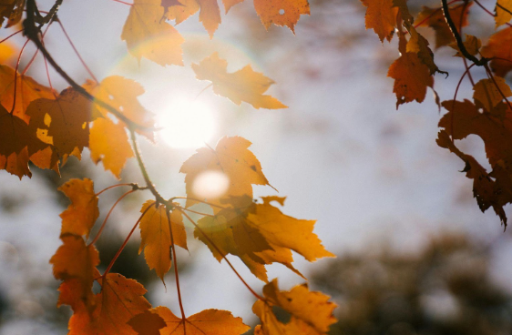 Sun Damage Doesn’t Stop in Fall: Why Year-Round SPF Is Essential for Skin Health | Pine Belt Sun Damage Doesn’t Stop in Fall: Why Year-Round SPF Is Essential for Skin Health | Pine Belt