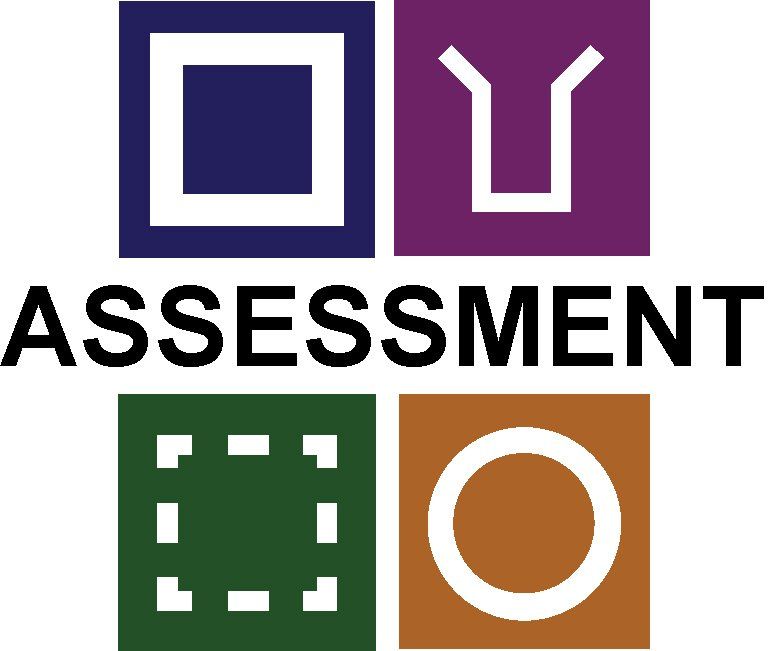 Elevations for Organizations assessment