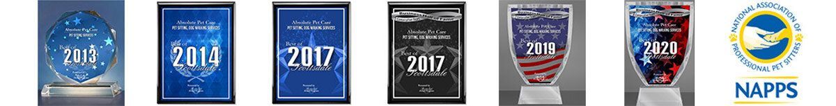 A row of six business award trophies labeled with years from 2011 to 2020, followed by a NAPPS logo.