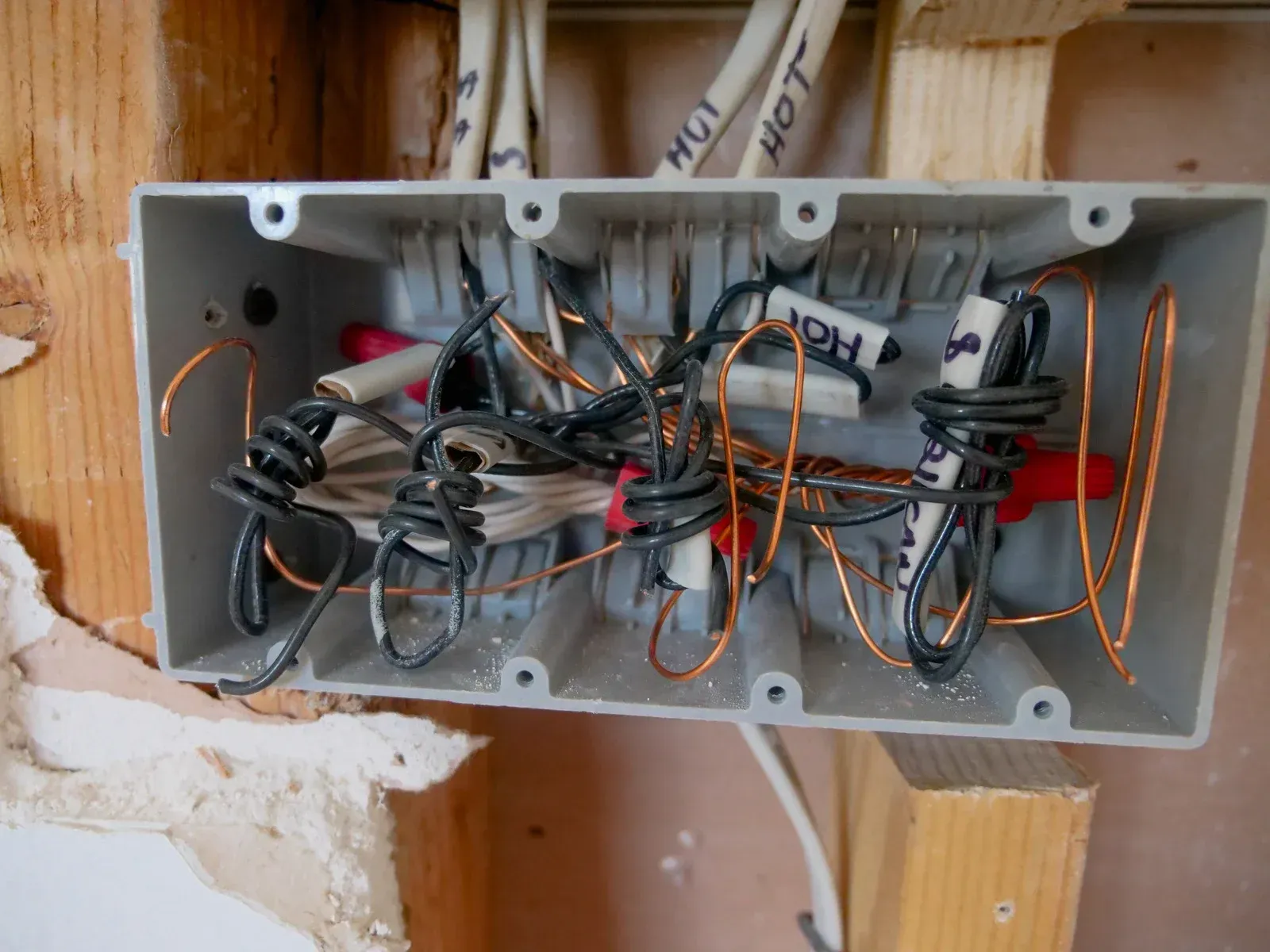 Gray electrical box with tangled wires and wire nuts labeled 