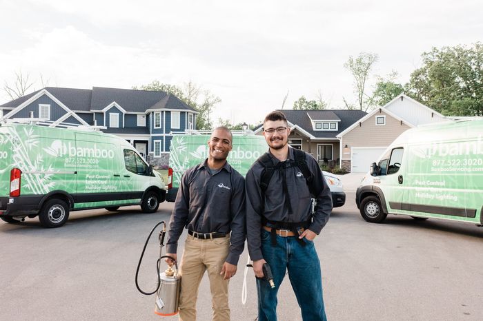 bellevue wa pest control services