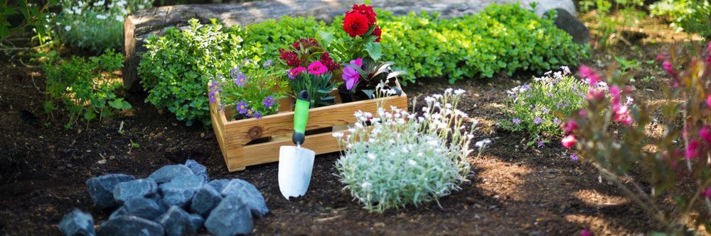 Wooden box Filled with Flowers and a Shovel in a Garden — Gardening Supplies in Dayboro, QLD