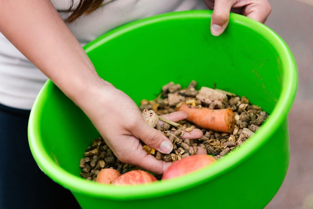 Person is Holding a Green bowl Filled with food — Horse Supplies in Dayboro, QLD