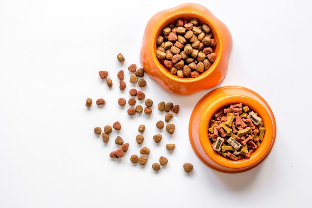 Two bowls of dog food on a White Background — Pet Supplies in Dayboro, QLD