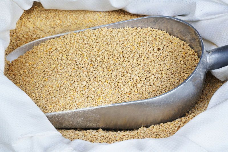 Metal Scoop is Sitting on top of a bag of Sesame Seeds — Poultry Supplies in Dayboro, QLD