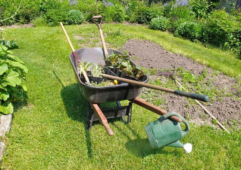 Wheelbarrow Filled with Plants and a Watering can in a Garden — Rural Equipment & Tools in Dayboro, QLD