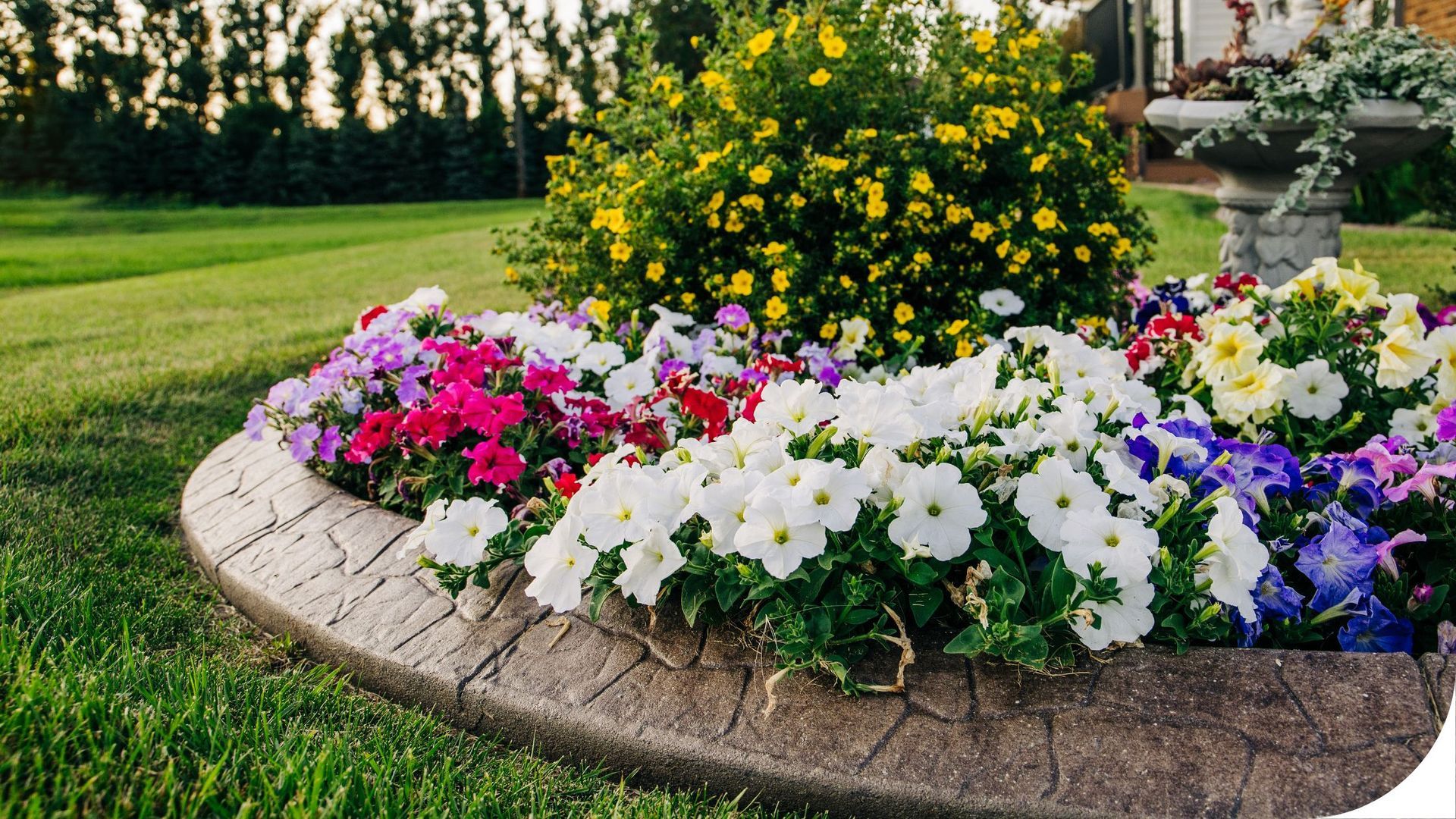 concrete curbing professional