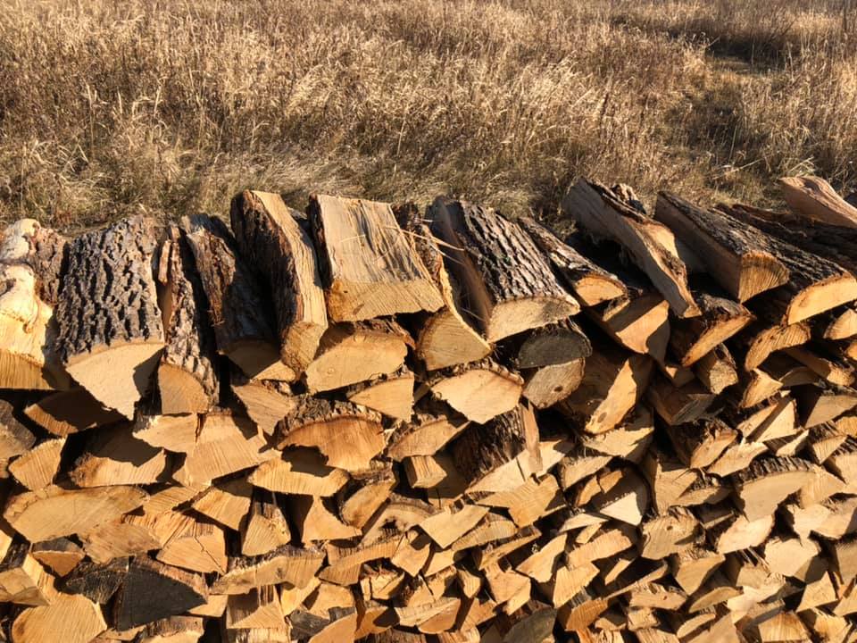 A pile of logs stacked on top of each other in a field.