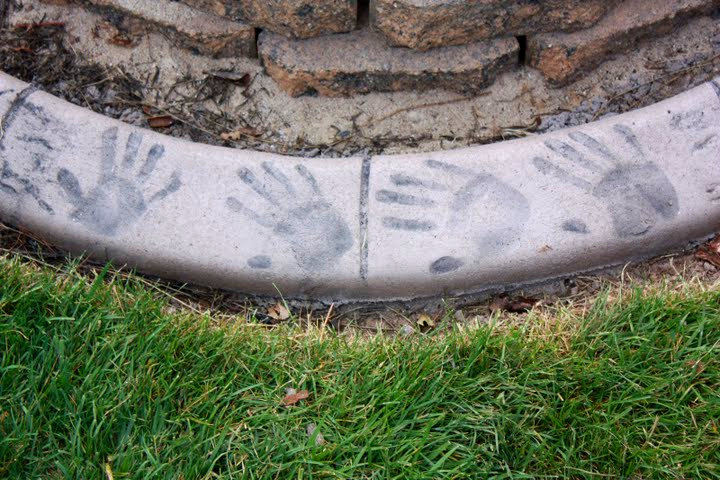 decorative concrete lawn edging Fox Valley