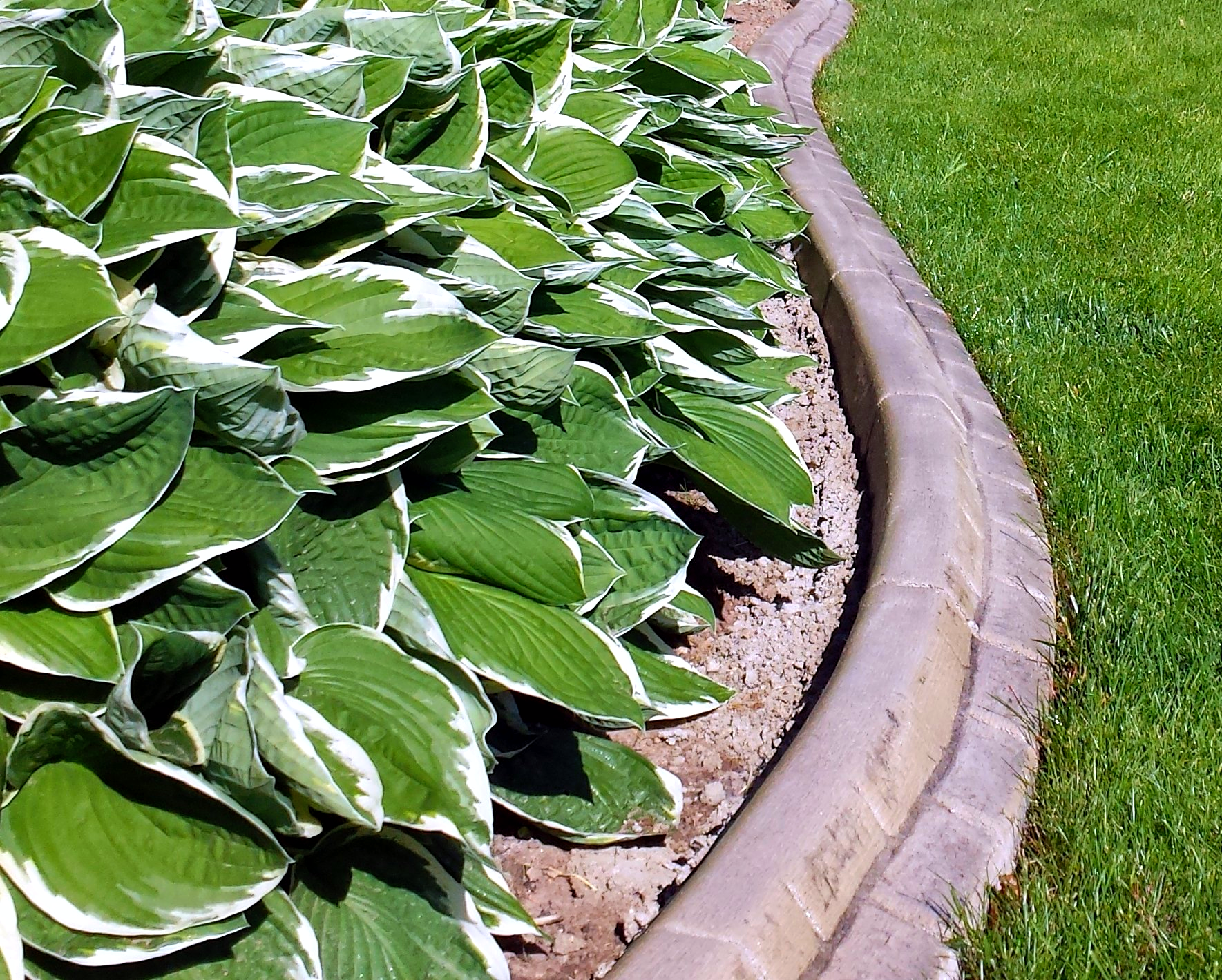 Mower style curb London Cobble