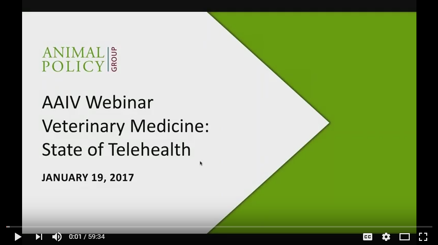 A Telehealth Roadmap for the Veterinary Profession webinar thumbnail