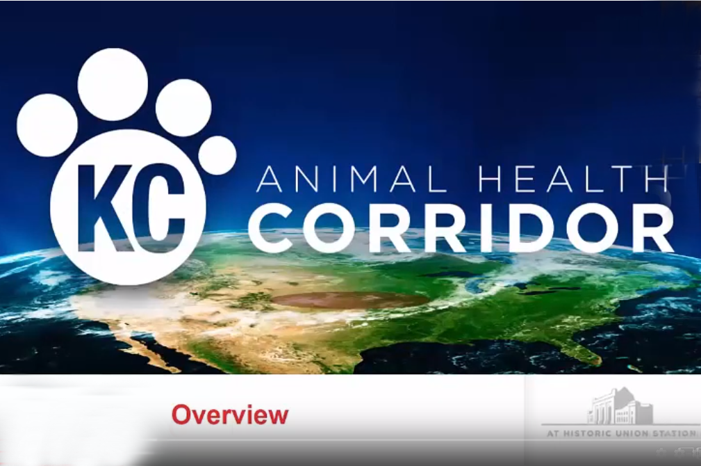 KC animal health corridor webinar thumbnail