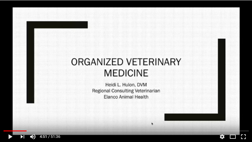 ORGANized Veterinary Medicine webinar thumbnail