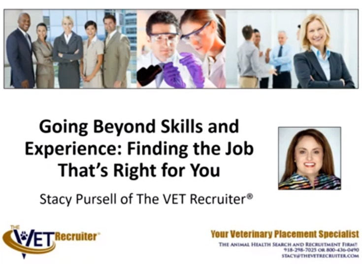 Going Beyong Skills and Experience: Finding the Job That's Right for You webinar thumbnail