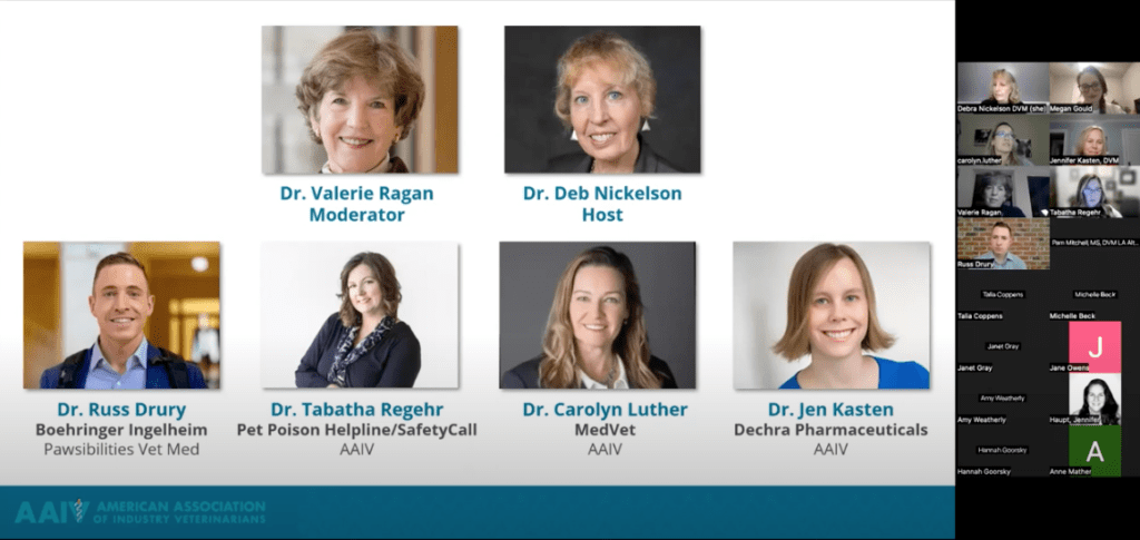 Career Transition Panel Discussion webinar thumbnail