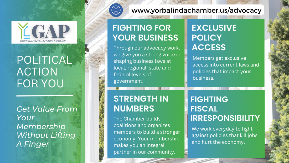 Promotional graphic for a political action group. Text highlights fighting for business, policy access, fiscal responsibility, and strength in numbers.