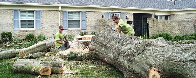 grinding stump with equipment in Waco Texas