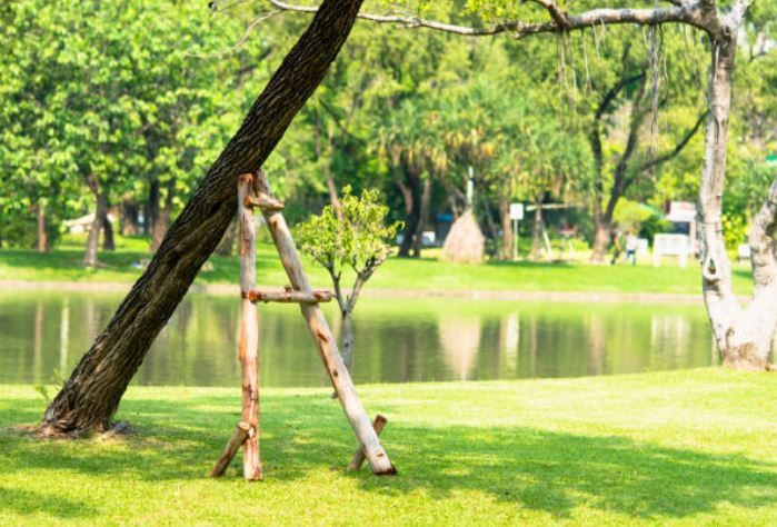 wooden brace supporting tree from falling