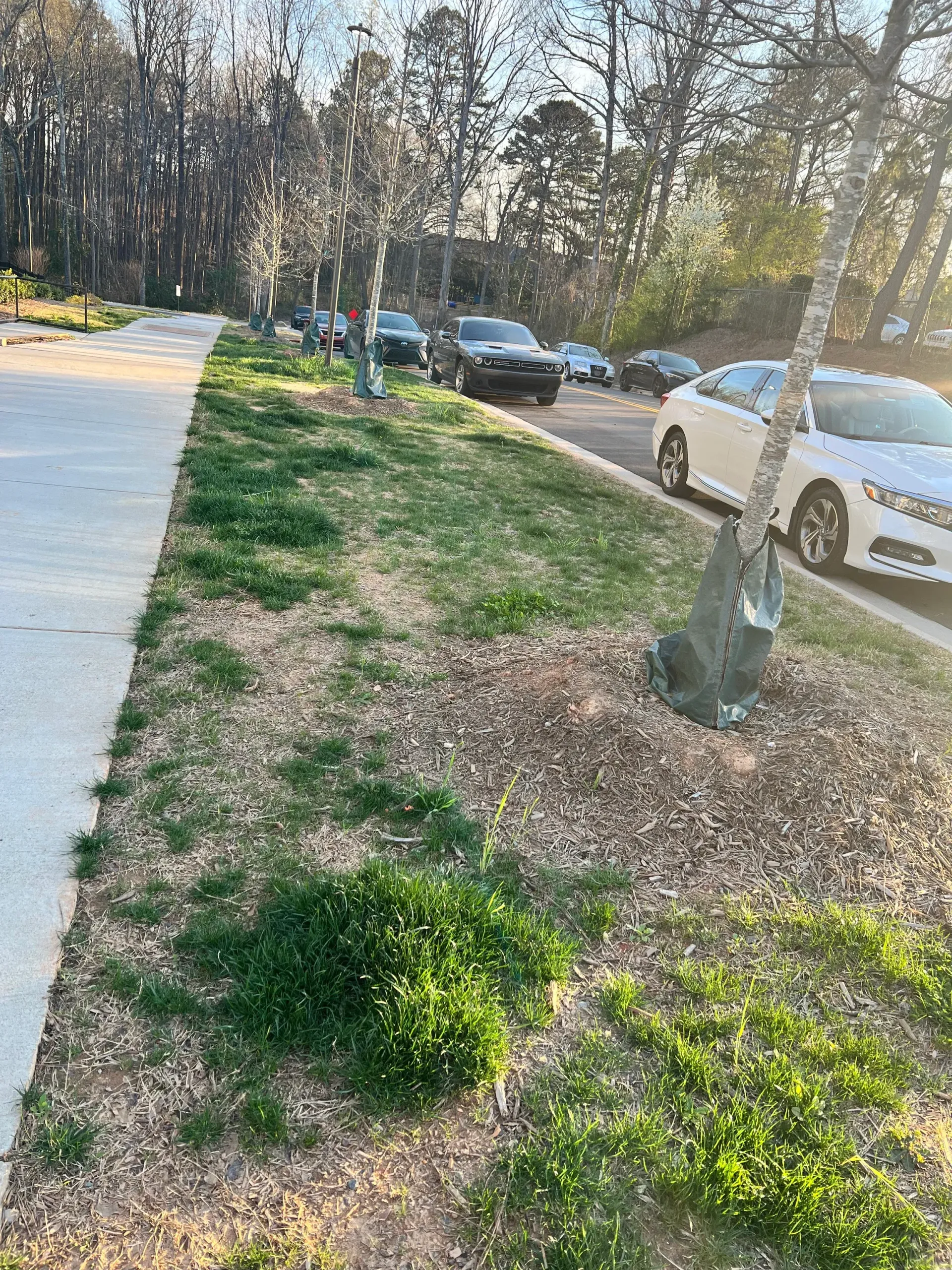 Exterior view of a residential property with a sidewalk, landscaping, and parked cars along a street.