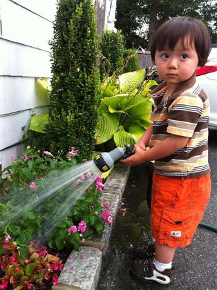 Plantsman of the Year