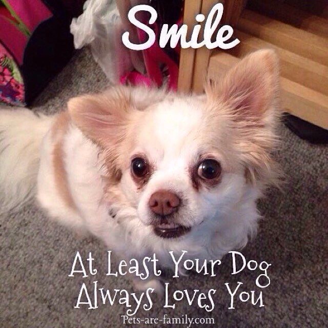 Smile No Matter How Bad Your Day Was Your Pets Will Always Love You!