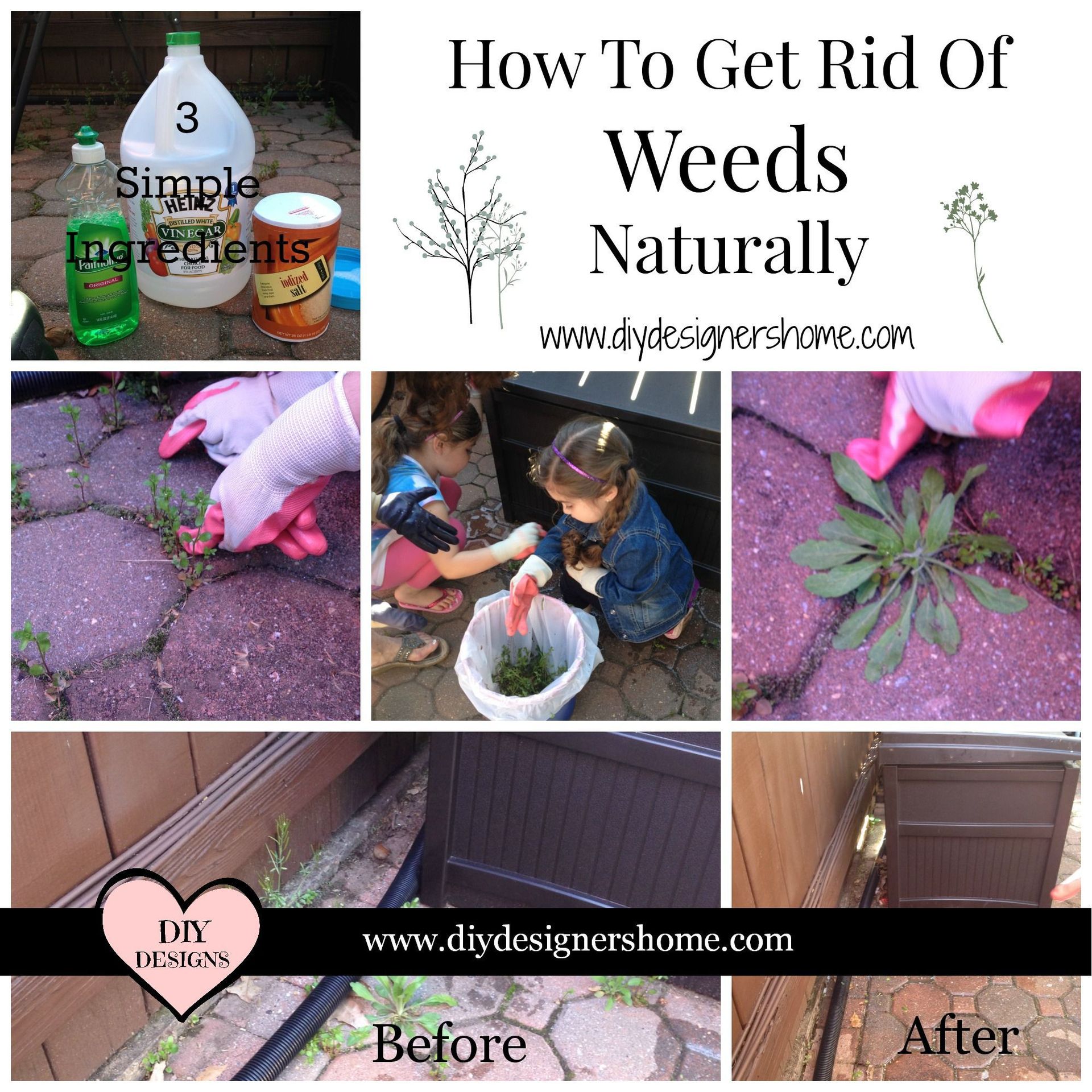 How To Get Rid Of Weeds Naturally