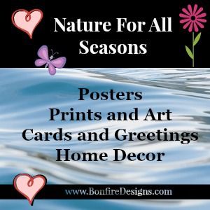 Nature Flowers Art Prints and Gifts