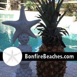 Adorable Pineapple Starfish