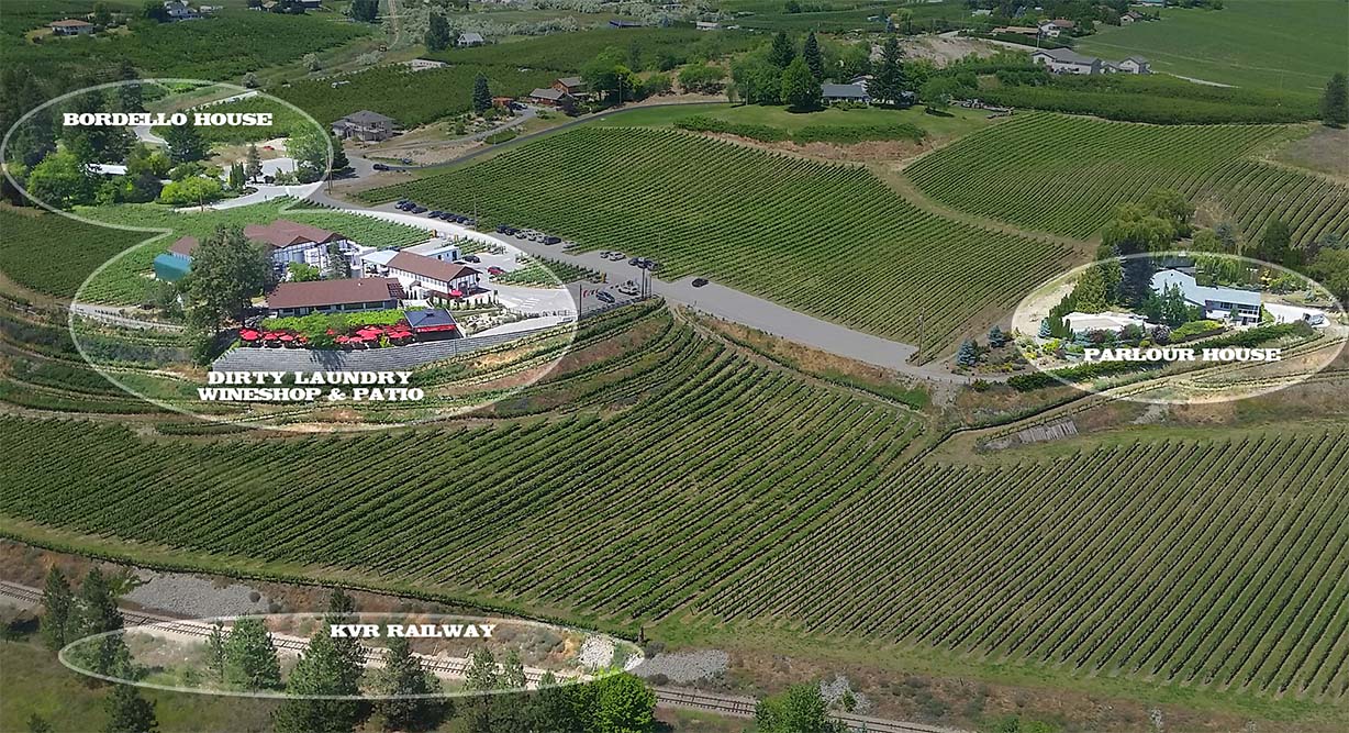 An aerial view of a lush green field with a house in the middle.