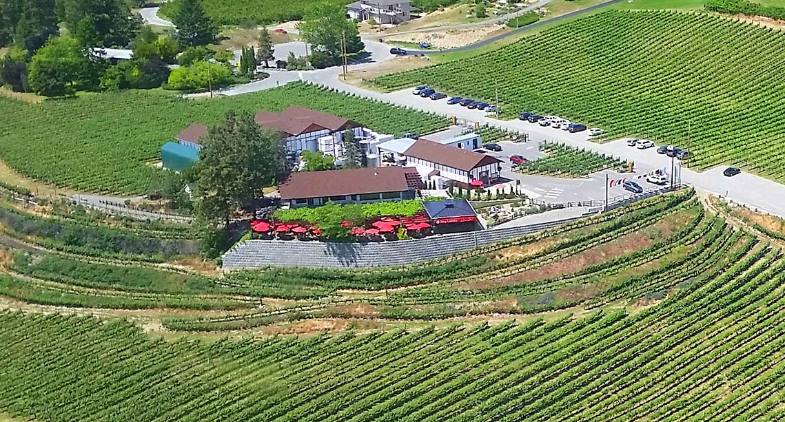 An aerial view of a vineyard with a restaurant in the middle of it.