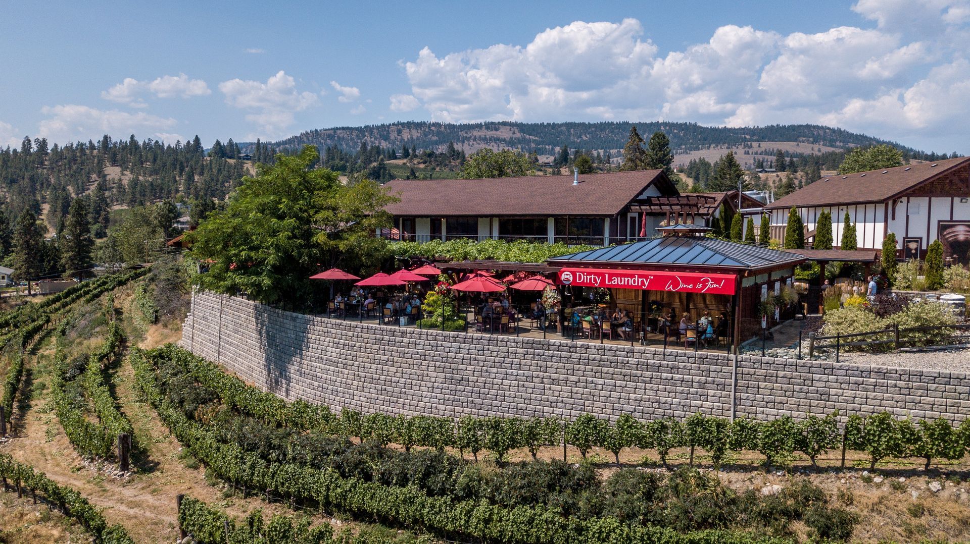 An aerial view of a vineyard with a restaurant in the background.