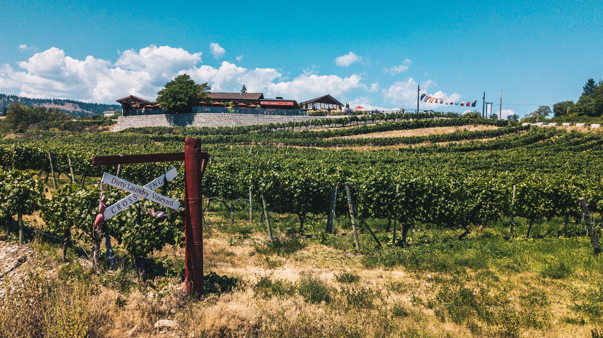 A wooden fence in the middle of a vineyard with a house in the background.