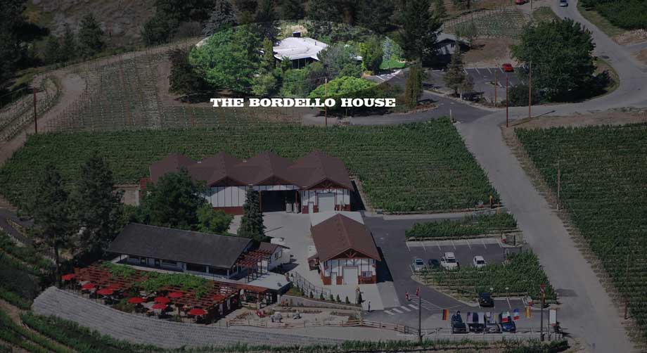 An aerial view of a large house in the middle of a vineyard.