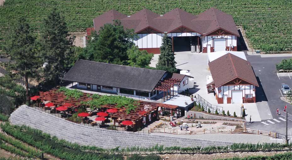 An aerial view of a large building surrounded by vineyards