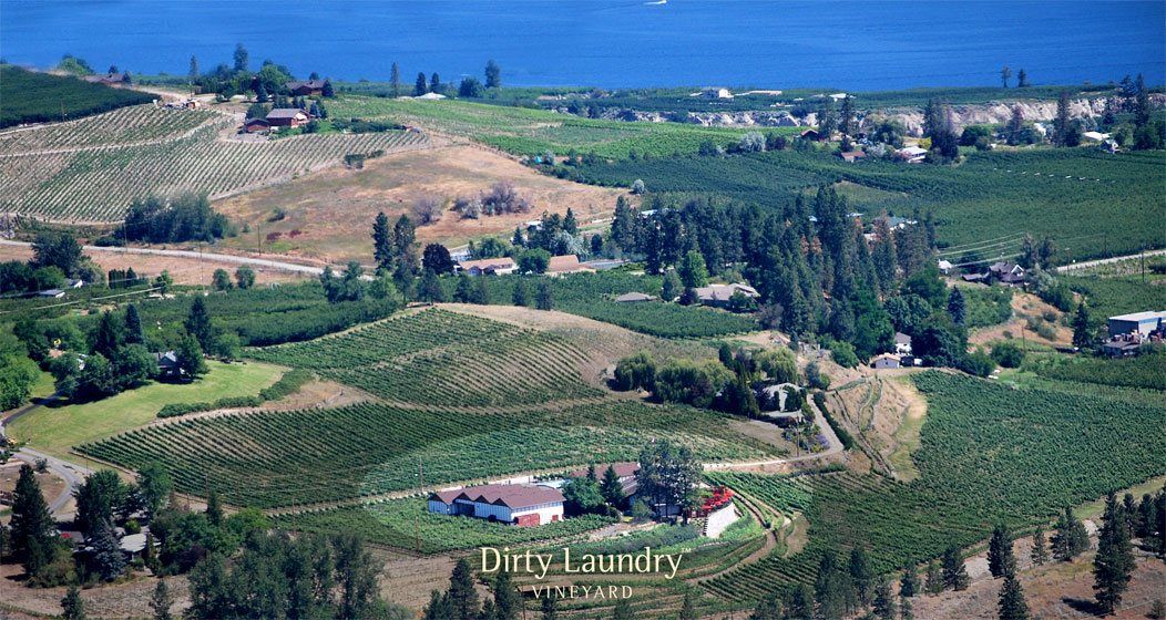 An aerial view of a lush green valley with a lake in the background.