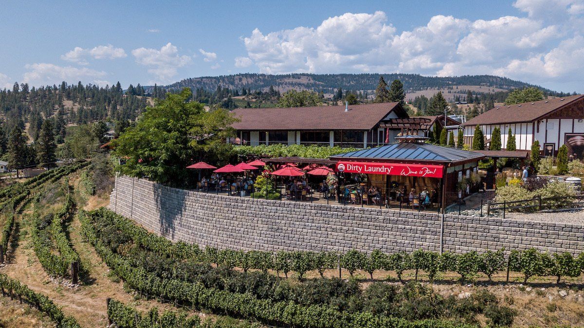 An aerial view of a vineyard with a building in the background.