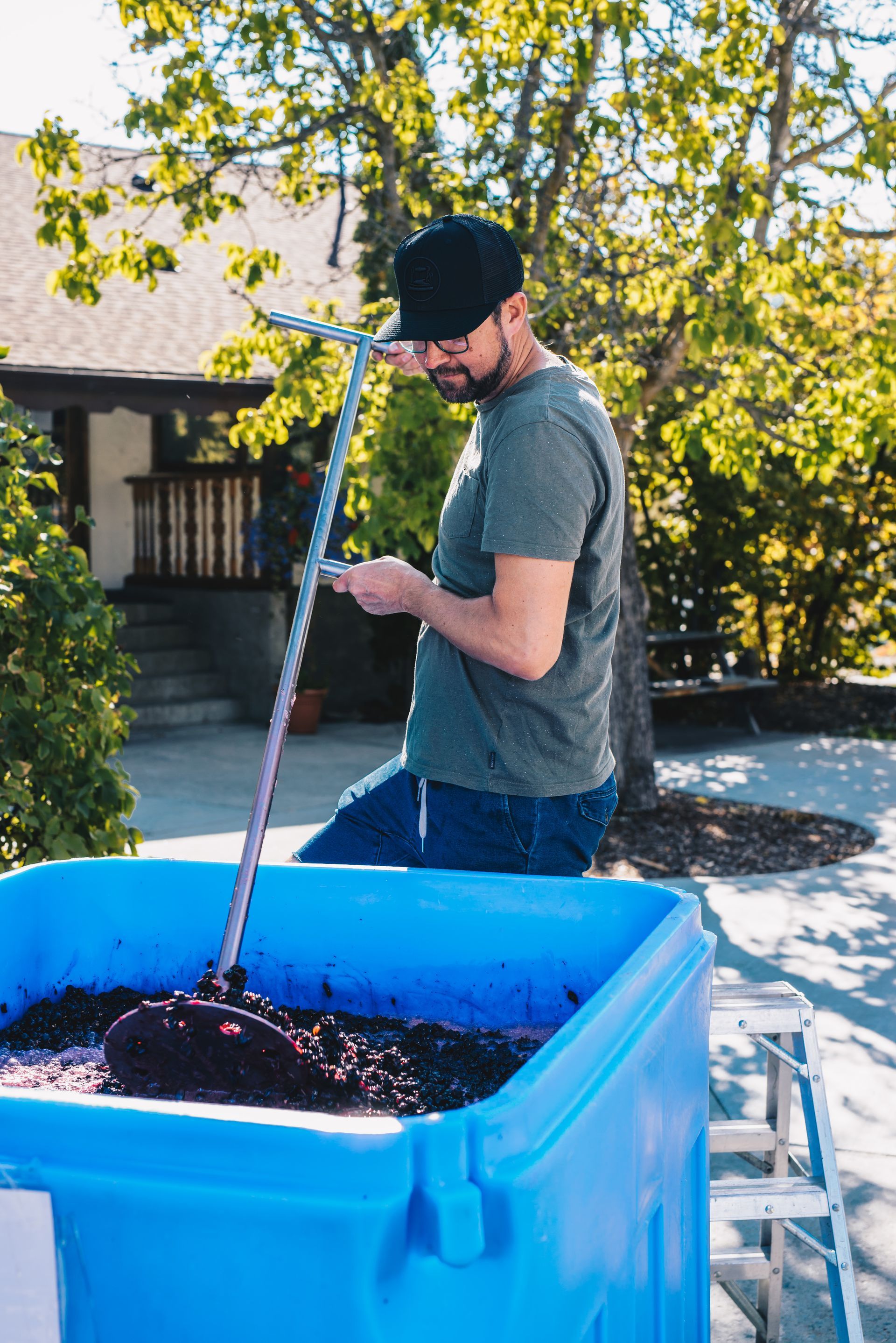A man is standing next to a blue bin filled with grapes.