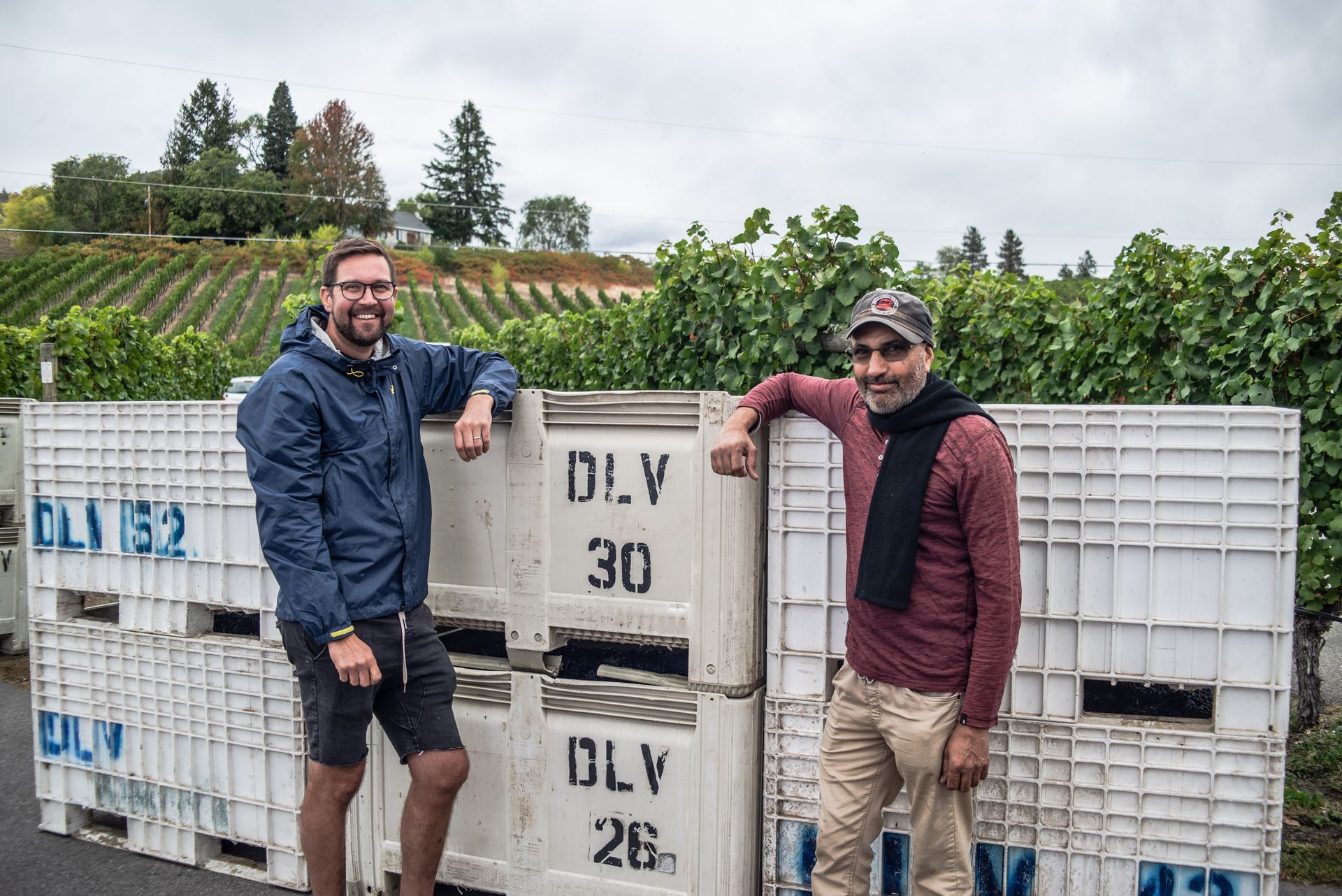 Two men are standing next to each other in front of crates in a vineyard.