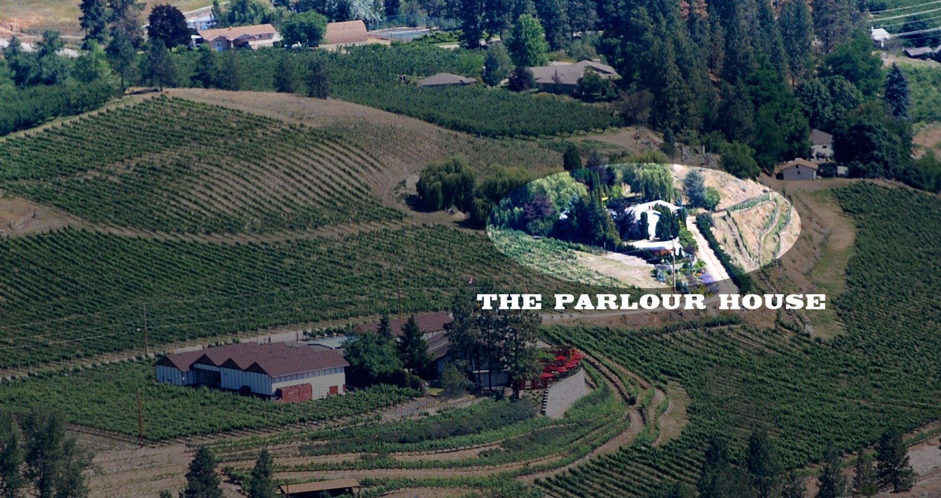 An aerial view of the parlour house surrounded by vineyards