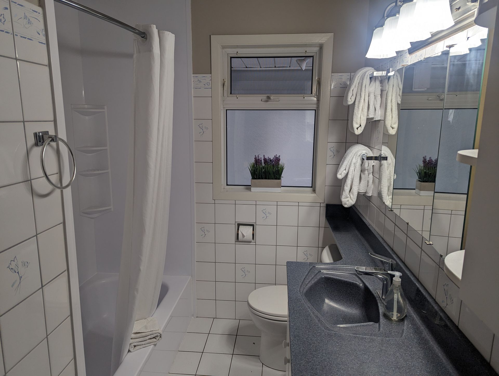 A bathroom with a sink , toilet , shower and mirror