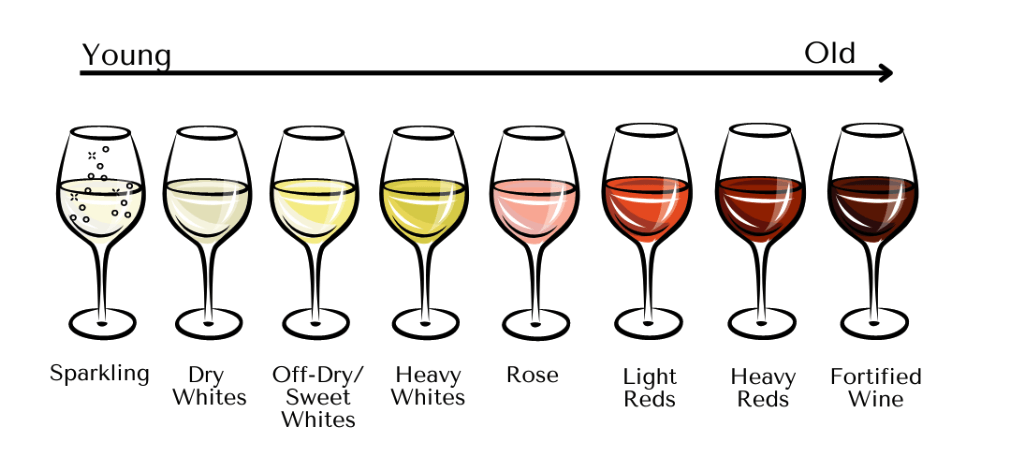 A to Wine Tasting: 5 Ss of Wine Tasting to Look Like a