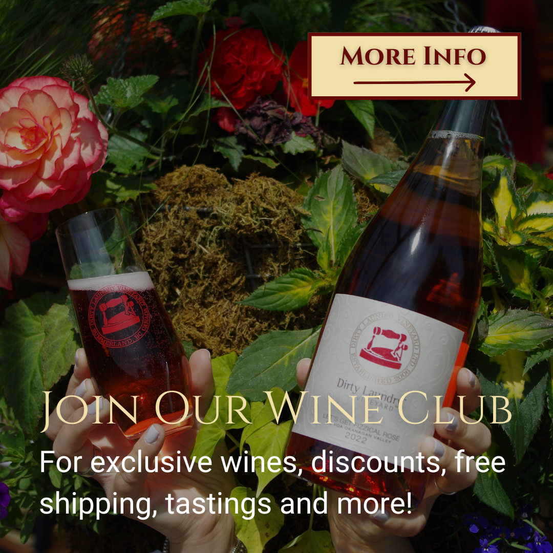 A person is holding a bottle of wine that says join our wine club