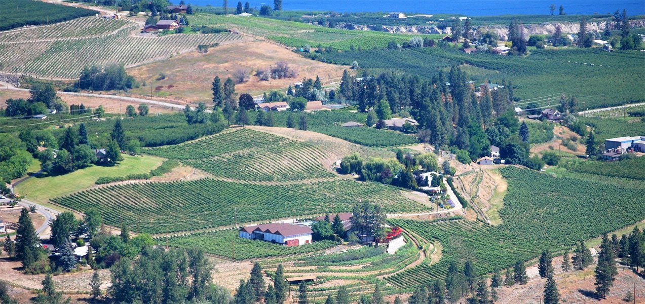 An aerial view of a lush green field with a house in the middle of it.